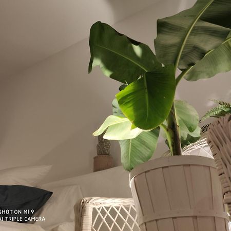 The Best In The Center Of Tarifa Apartment Bagian luar foto