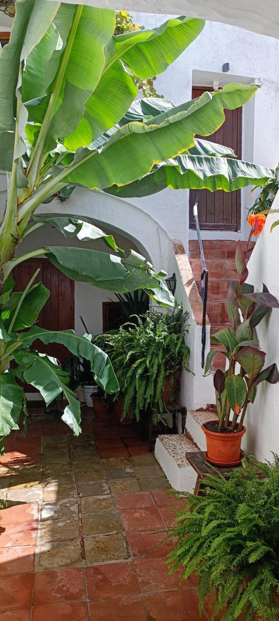 The Best In The Center Of Tarifa Apartment Bagian luar foto
