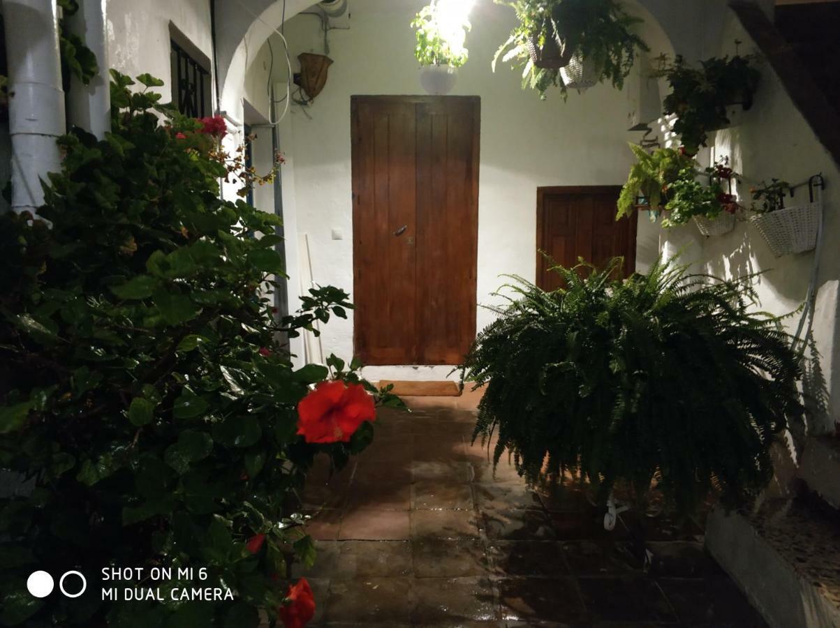 The Best In The Center Of Tarifa Apartment Bagian luar foto